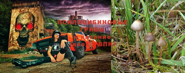 марихуана Магас