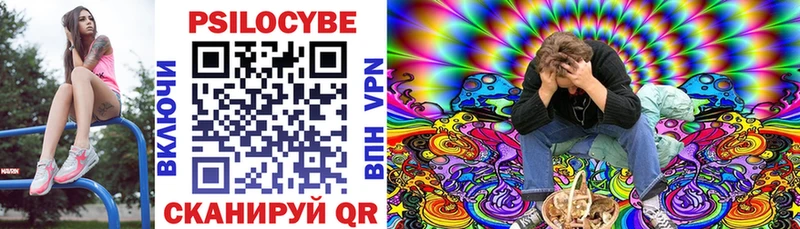 Купить закладки  Стерлитамак  Галлюциногенные грибы мухоморы 