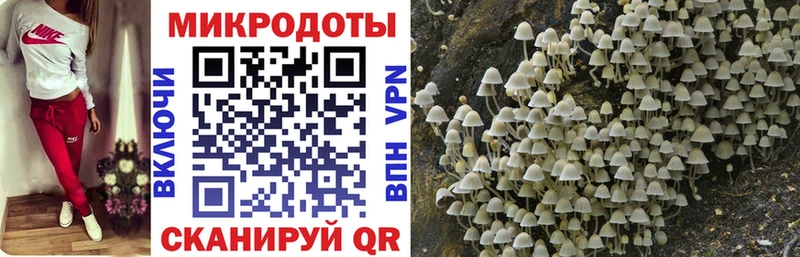 Галлюциногенные грибы Psilocybine cubensis Стерлитамак